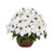 22" White Poinsettia Silk Artificial Floral Arrangement in Decorative Planter - IMAGE 1