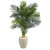 4.5' Golden Cane Palm Artificial Tree in Oval Planter - IMAGE 1