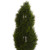 5.5' Double Pond Cypress Spiral Topiary Outdoor Artificial Tree in Tower Planter - IMAGE 3