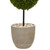 4' Artificial Boxwood Double Ball Topiary Outdoor Tree in Oval Planter - IMAGE 5