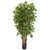5.5' Parlour Artificial Palm Tree in Black Pot - IMAGE 1