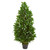 4' Artificial Bay Leaf Topiary Tree in Black Pot - IMAGE 1