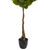 65" Rubber Leaf Artificial Potted Tree - IMAGE 2