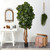 7' Artificial Fiddle Leaf Fig Tree with Decorative Pot - IMAGE 3