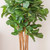 7' Artificial Fiddle Leaf Fig Tree with Decorative Pot - IMAGE 6