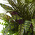 27" Artificial Mixed Areca Palm Fern and Peacock with Planter - IMAGE 2