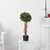 2.5' English Ivy Topiary Artificial Outdoor Tree in Black Pot - IMAGE 2