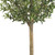 4.5' Olive Double Topiary Silk Artificial Tree - IMAGE 5
