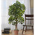 4' Schefflera Silk Artificial Tree - IMAGE 4