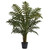 3.5' Artificial Evergreen Plant in Black Pot - IMAGE 1