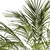 6' Robellini Palm Artificial Potted Tree - IMAGE 3