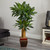 4.5' Cornstalk Dracaena Silk Plant with Vase - IMAGE 2