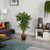 4.5' Cornstalk Dracaena Silk Plant with Vase - IMAGE 3
