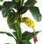 6' Triple Stalk Banana Silk Artificial Tree in Black Pot - IMAGE 4