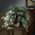 26" Artificial Puff Ivy Silk Plant with Vase - IMAGE 2