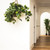 3' Artificial Silk Pothos Plant with Hanging Basket - IMAGE 3