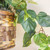 3' Artificial Silk Pothos Plant with Hanging Basket