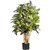 3' Artificial Croton Silk Tree in Black Pot - IMAGE 1