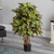 3' Artificial Croton Silk Tree in Black Pot - IMAGE 2