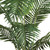 6' Paradise Palm Artificial Potted Tree - IMAGE 5