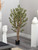 5' Olive Silk Artificial Tree in a Black Pot - IMAGE 3