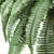 2.75' Artificial Boston Fern Silk Plant in Wood Vase - IMAGE 3