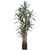 5' Yucca Silk Artificial Tree in Black Pot - IMAGE 1