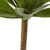 2.5' Artificial Agave Plant with Stem - IMAGE 6