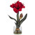 20" Red Amaryllis in Glass Round Vase - IMAGE 1