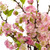 14" Pink Cherry Blossom Artificial Floral Arrangement in Large Vase - IMAGE 6