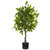 3.25' Artificial Ficus Tree in Black Pot - IMAGE 1