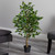 3.25' Artificial Ficus Tree in Black Pot - IMAGE 3