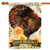 Brown and Yellow Turkey Thanksgiving Outdoor House Flag 40" x 28" - IMAGE 1
