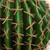 14" Cactus Artificial Potted Plant - IMAGE 4