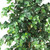 6' Ficus Silk Artificial Tree in a Black Pot - IMAGE 2