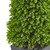 4.75" Eucalyptus Topiary Artificial Tree in Slate Planter - IMAGE 3