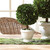 Boxwood Single Ball Topiary with Pot - 9" - Green and White - IMAGE 2