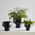 Cachepot Planters - 11.25" - Black - Set of 3 - IMAGE 2