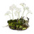 Artificial Dendrobium Cloche Floral Drop-In - 16" - White and Green - IMAGE 1