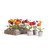 Mini Ranunculi with Pot - 8" - Multicolor - Set of 12 - IMAGE 1