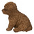 6.25" Sitting Brown Baby Cavapoo Outdoor Garden Statue - IMAGE 3
