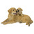 11.75" Baby and Mother Golden Retriever Outdoor Garden Statue - IMAGE 1