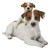 10.75" Baby Jack Russell with Mother Dog Outdoor Garden Statue - IMAGE 1