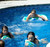 Inflatable Dancing Dolphin Poolside Bop Bag - 36"