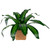 Artificial Dracaena Plant in Square Rattan Pattern Ceramic Pot - 27" - IMAGE 3