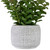 Real Touch™ Artificial  Privet Plant in Gray Stone Pot - 12" - IMAGE 4