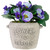 Pansy Artificial Floral Arrangement in "Flowers & Garden" Pot - 6" - Purple and Blue - IMAGE 1