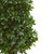 5' Artificial Bay Leaf Cone Outdoor Topiary Tree - IMAGE 2