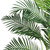 7’ Paradise Palm Artificial Tree in Black Pot - IMAGE 2