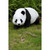 37.5" Panda Walking Outdoor Garden Statue - IMAGE 2